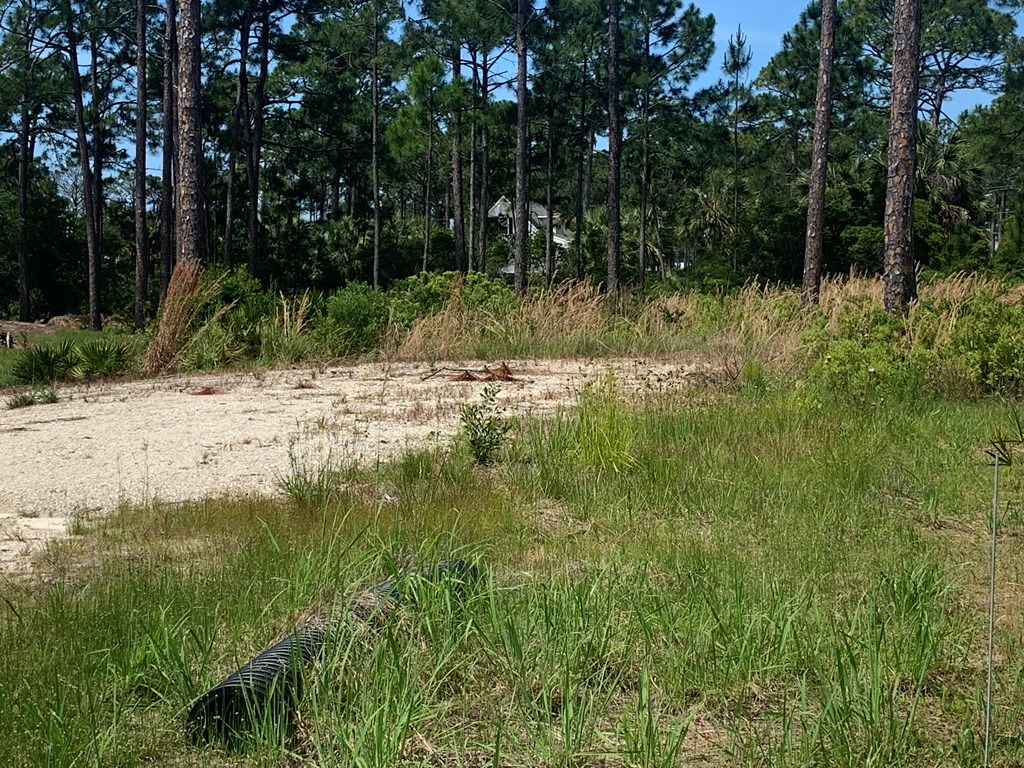 LOT 3 Cr 30-a, Port St. Joe 32456