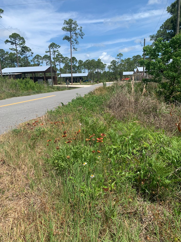 LOT 3 Cr 30-a, Port St. Joe 32456