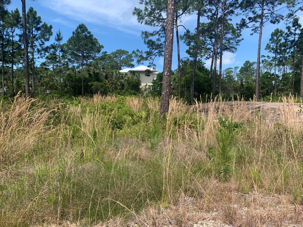 LOT 3 Cr 30-a, Port St. Joe 32456
