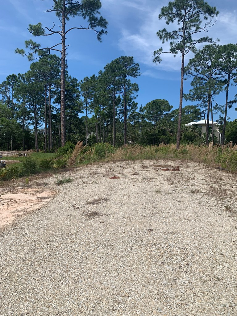 LOT 3 Cr 30-a, Port St. Joe 32456