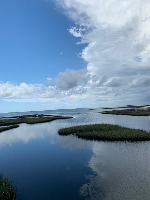 LOT 3 Cr 30-a, Port St. Joe 32456