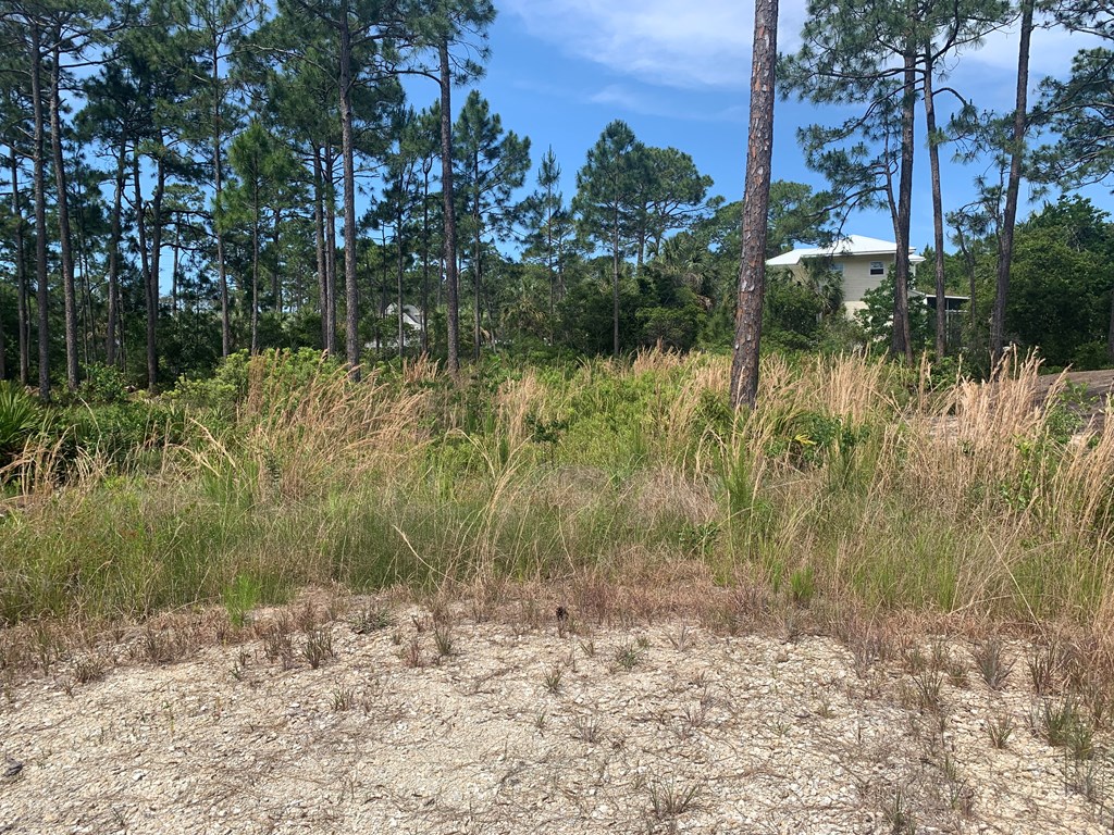 LOT 3 Cr 30-a, Port St. Joe 32456