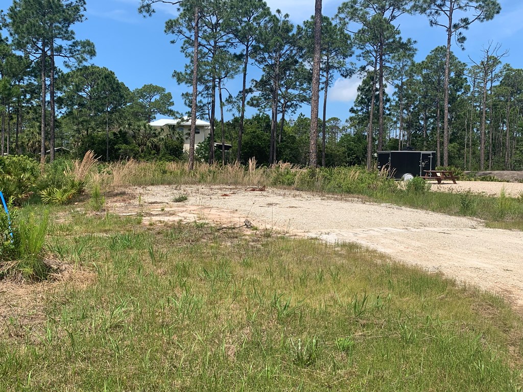 LOT 3 Cr 30-a, Port St. Joe 32456