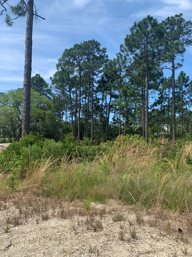 LOT 3 Cr 30-a, Port St. Joe 32456