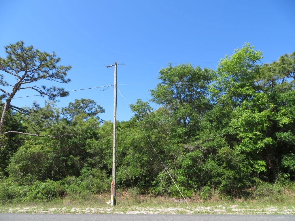 146 Franklin St, 32322