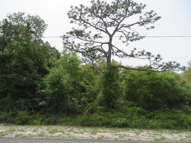 146 Franklin St, 32322