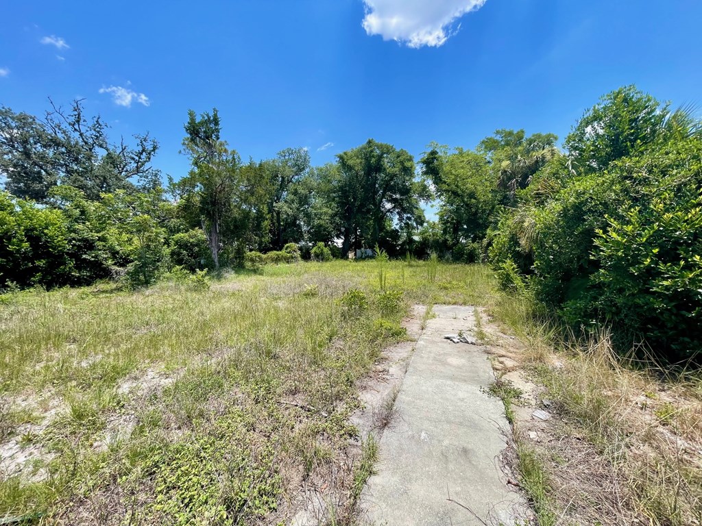 1904 Louise Ave, 32405
