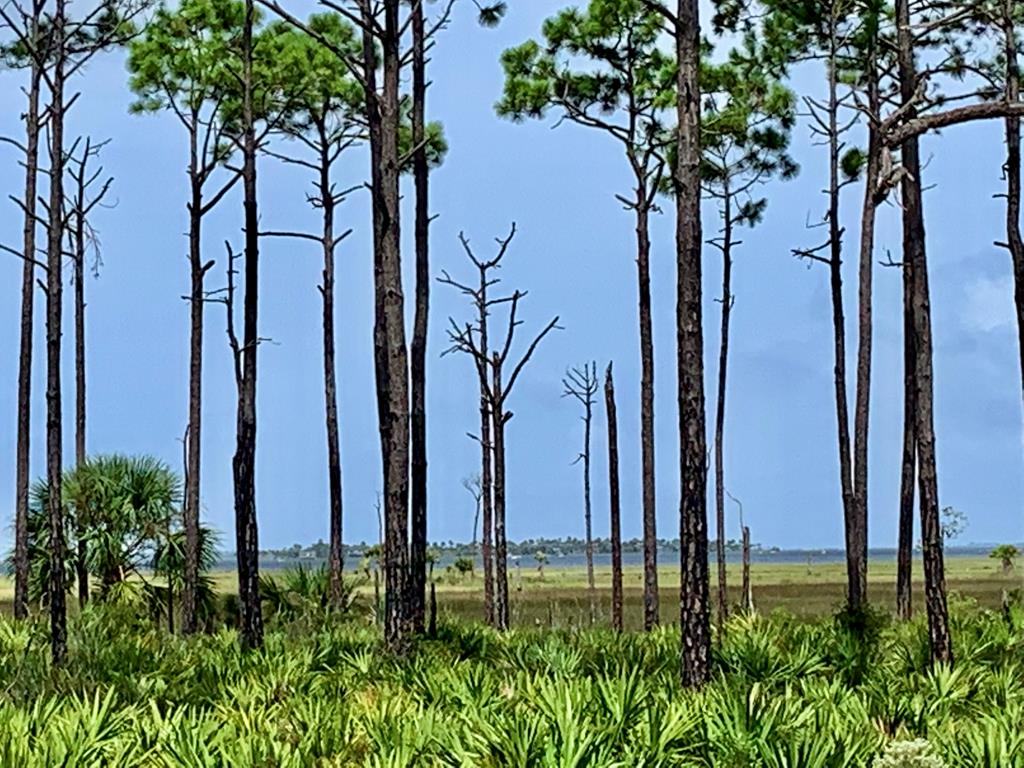 4256 Sr 30-a, Port St. Joe 32456