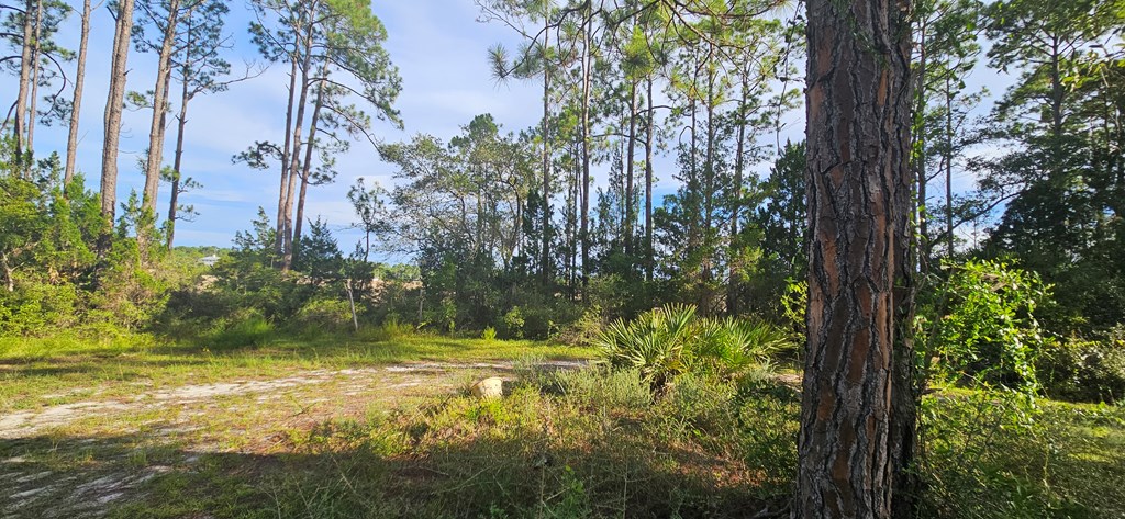 612 River Rd, 32322