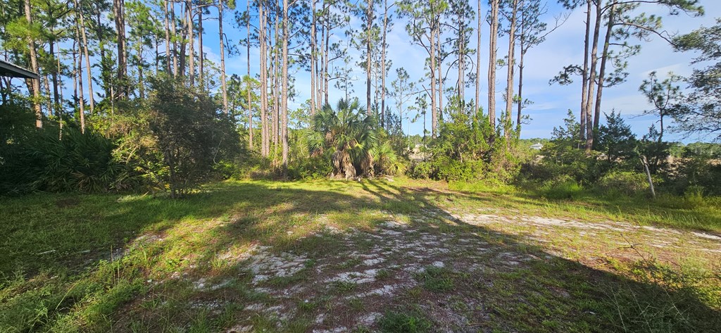 612 River Rd, 32322