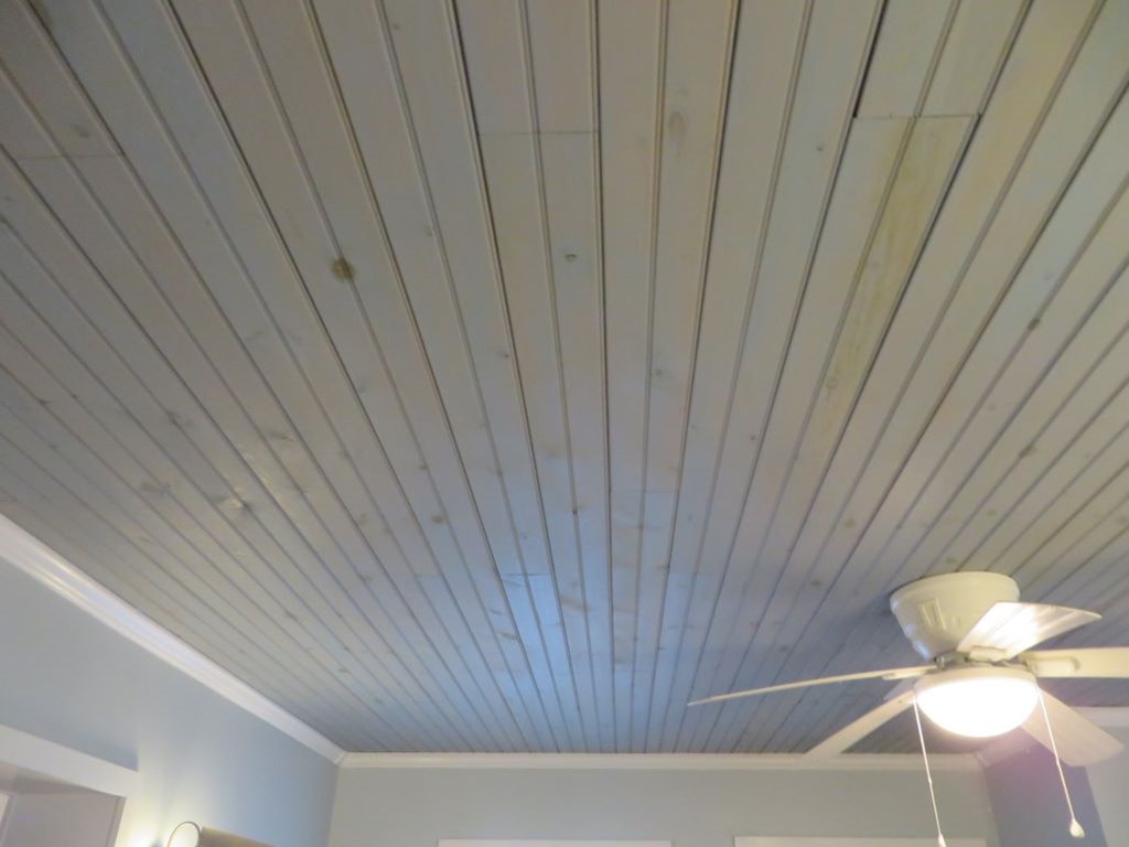 16-6 Collins Ave, 32323