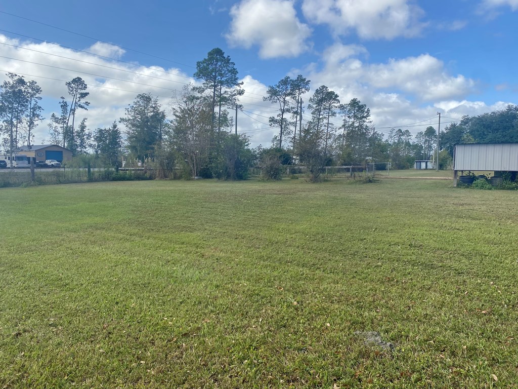 6507 Doc Whitfield Rd, 32465