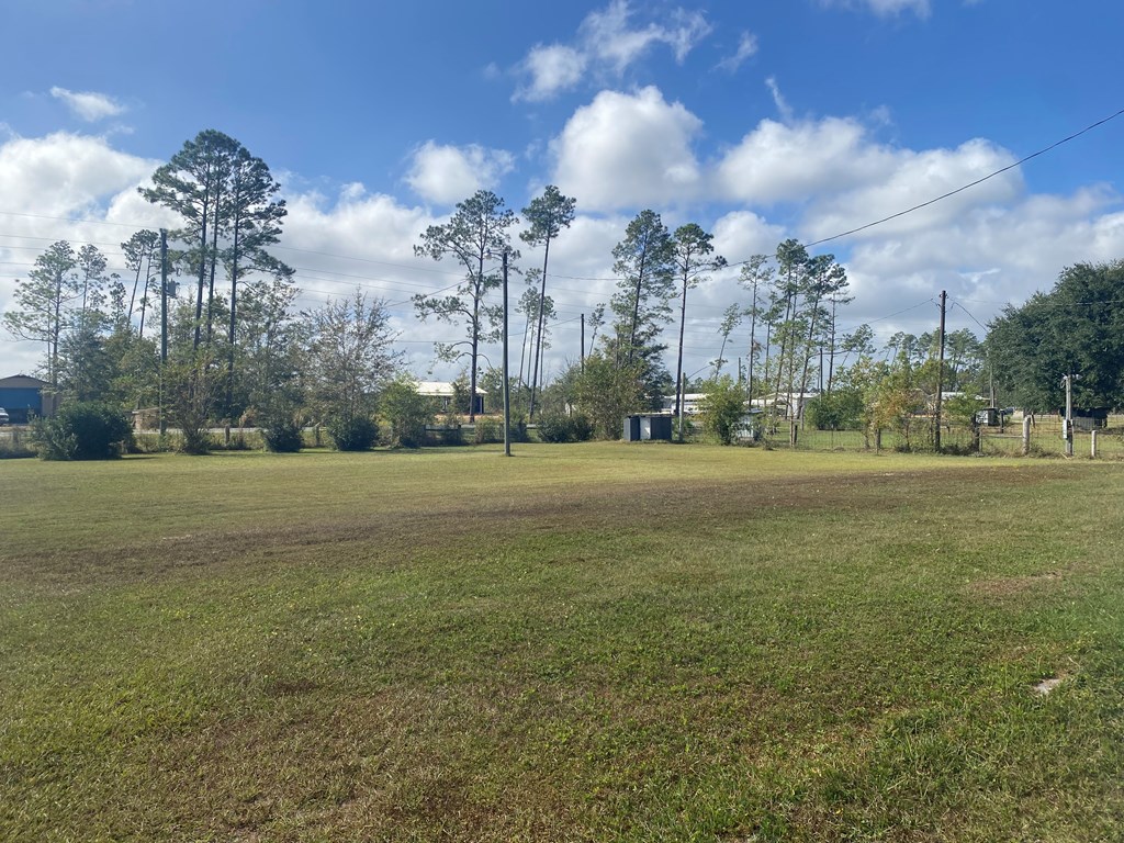 6507 Doc Whitfield Rd, 32465