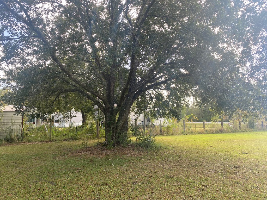 6507 Doc Whitfield Rd, 32465