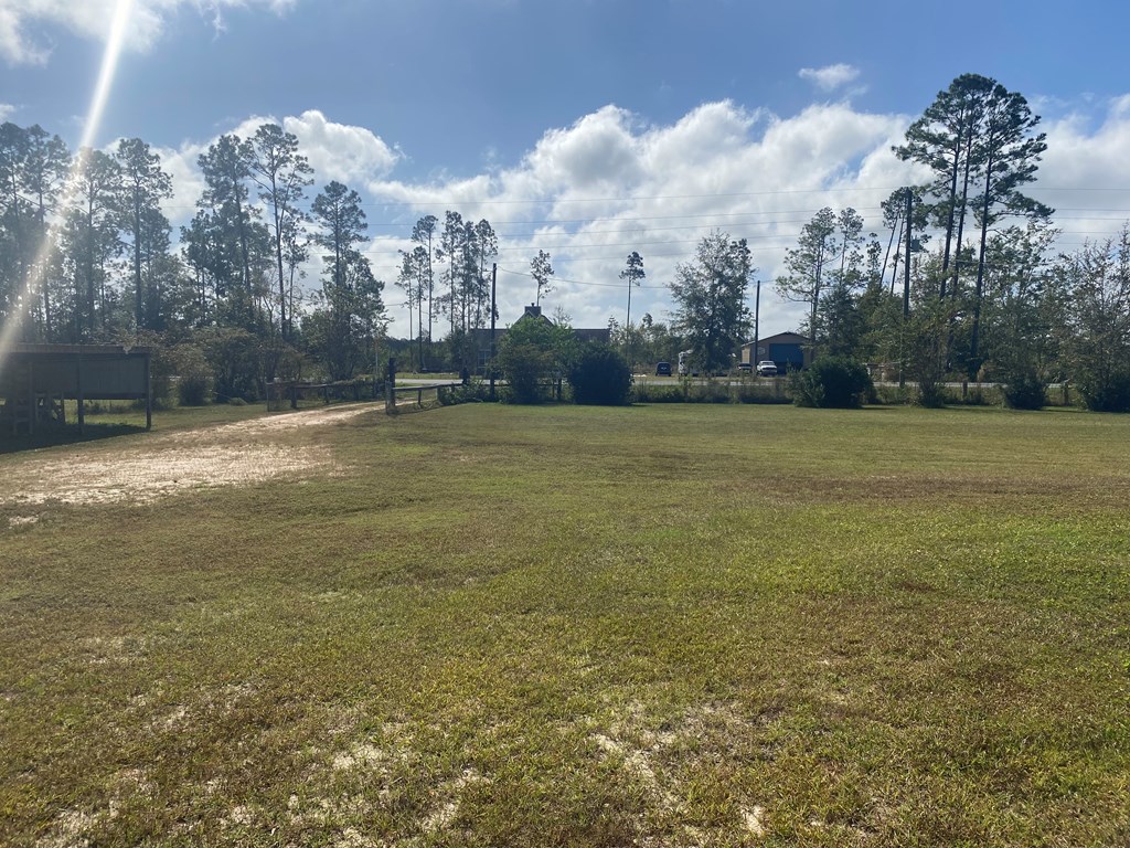 6507 Doc Whitfield Rd, 32465