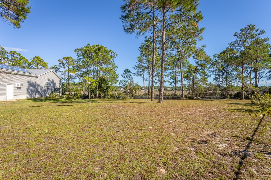 559 River Rd, 32322