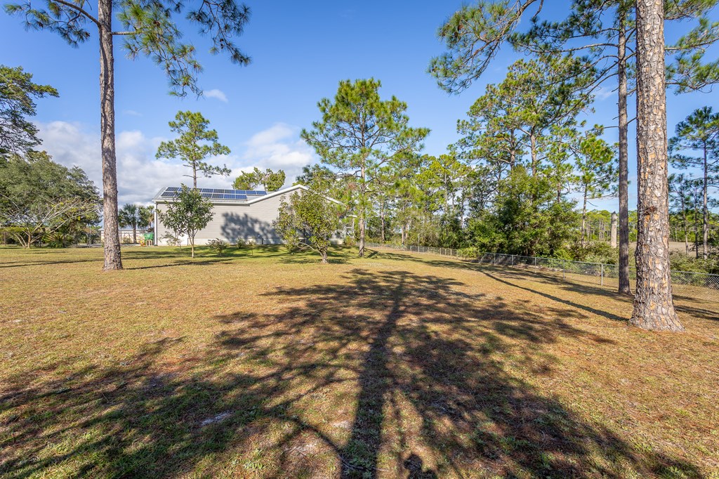 559 River Rd, 32322