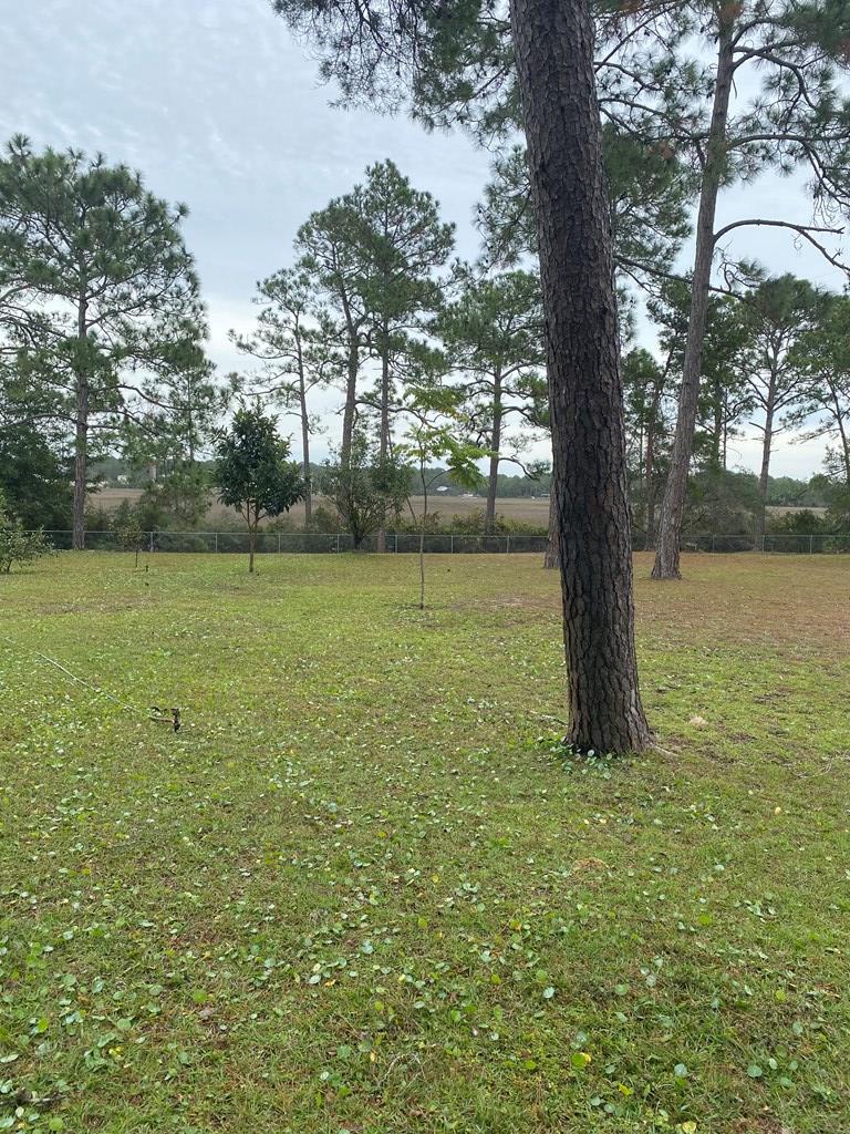 559 River Rd, 32322