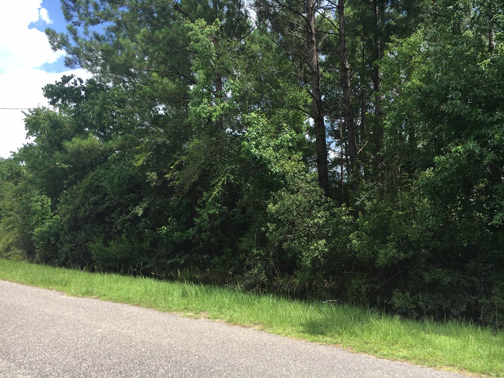 Lot 4 Bill Nelson Rd, 32465
