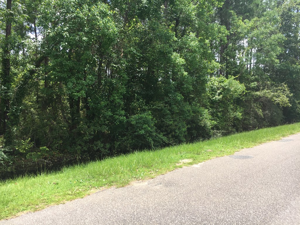 Lot 4 Bill Nelson Rd, 32465