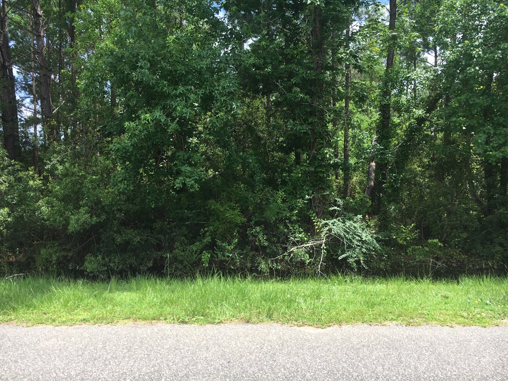 Lot 4 Bill Nelson Rd, 32465