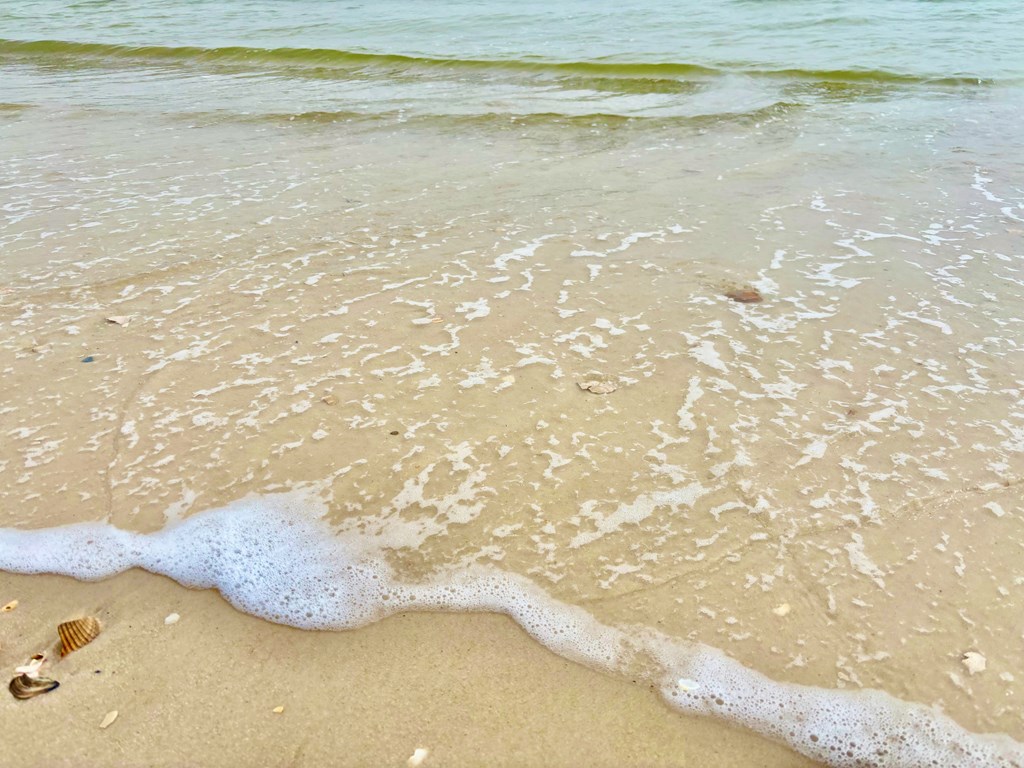 2274 Sailfish Dr, St. George Island 32328