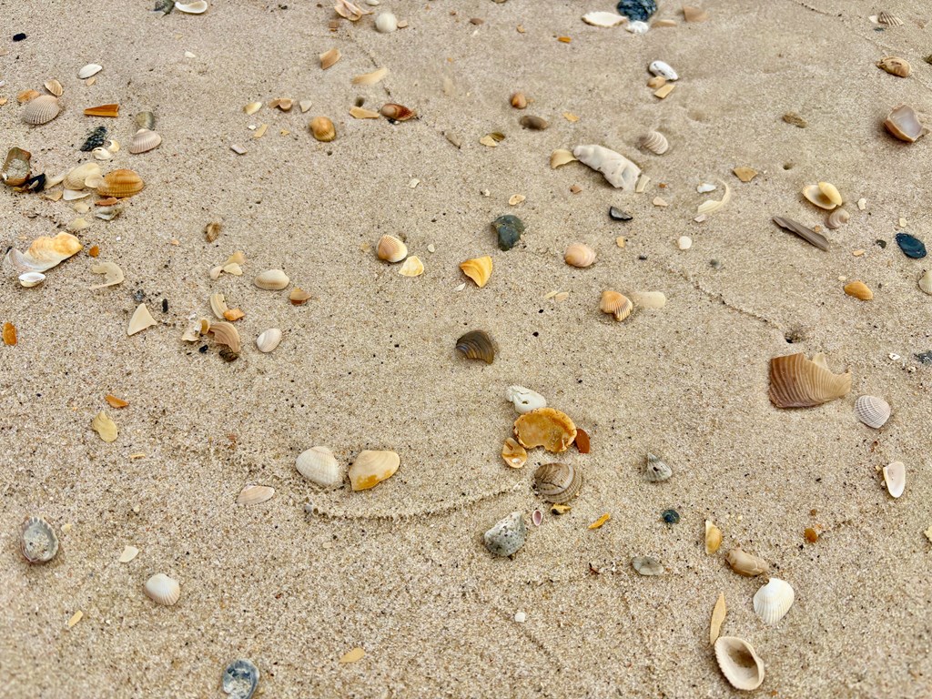 2274 Sailfish Dr, St. George Island 32328