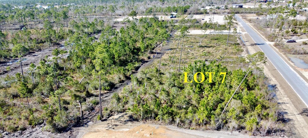 LOT 7 Hardy St, Port St. Joe 32456
