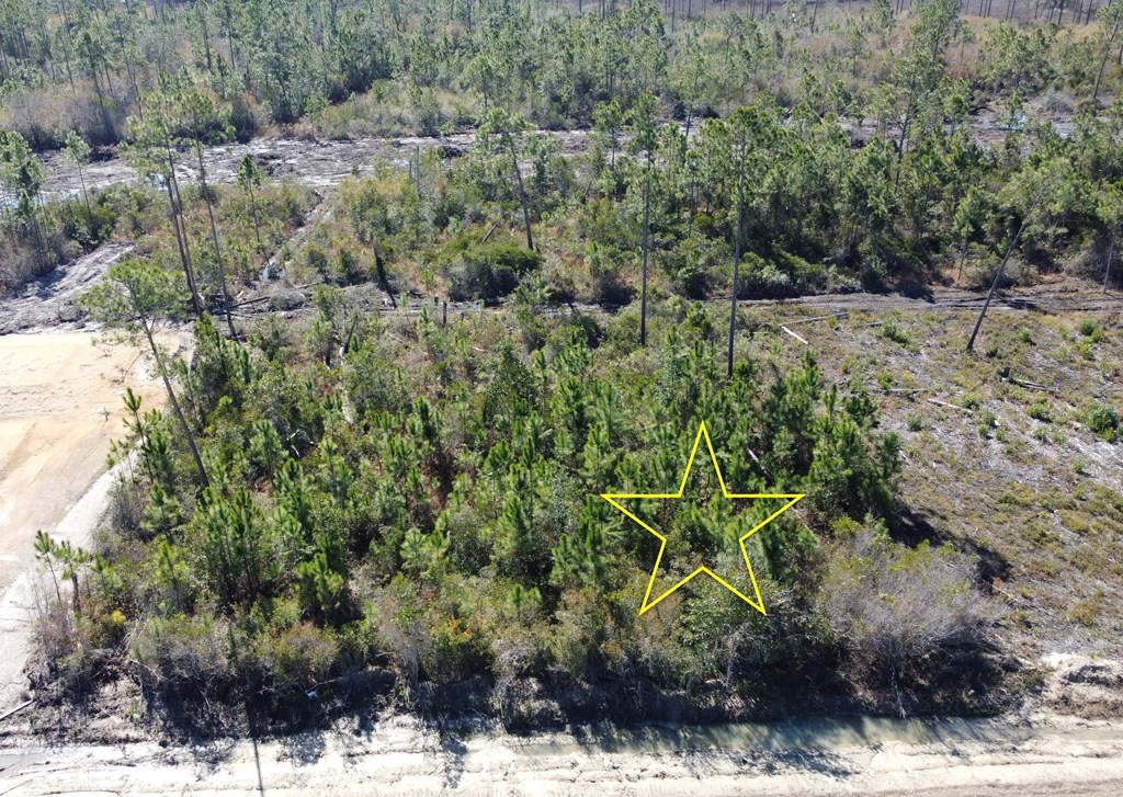 LOT 7 Hardy St, Port St. Joe 32456