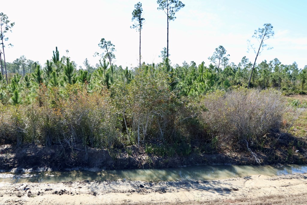 LOT 7 Hardy St, Port St. Joe 32456