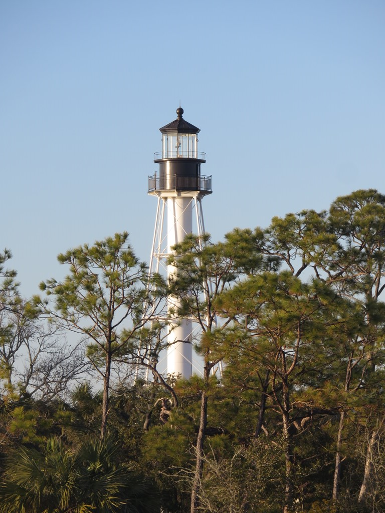 LOT 8 Hardy St, Port St. Joe 32456