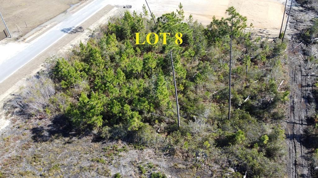 LOT 8 Hardy St, Port St. Joe 32456