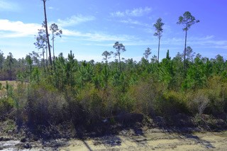 LOT 8 Hardy St, Port St. Joe 32456