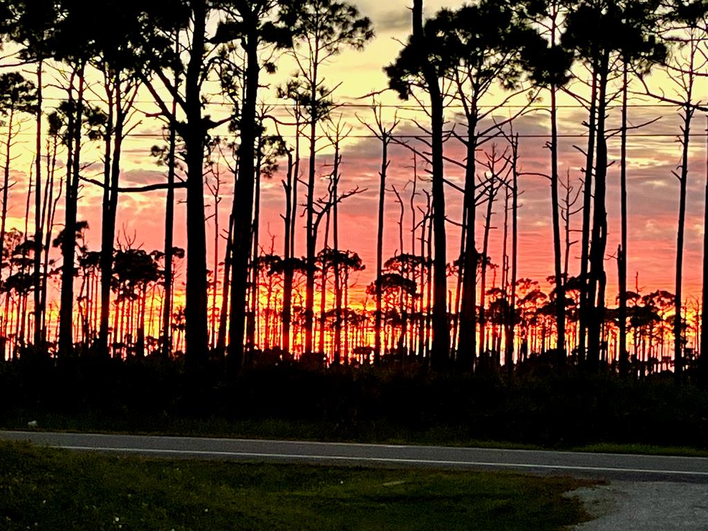 4260 Sr 30-a, Port St. Joe 32456
