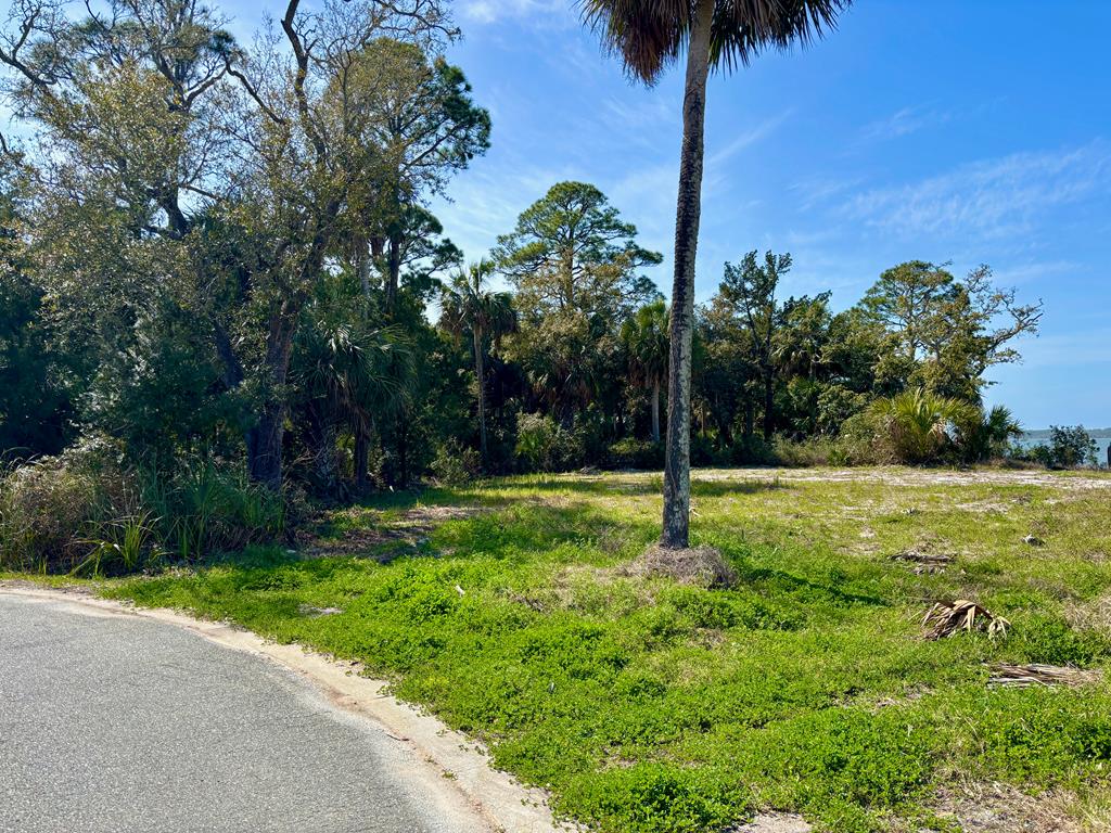 296 Sea Lavender Ln, Port St. Joe 32456