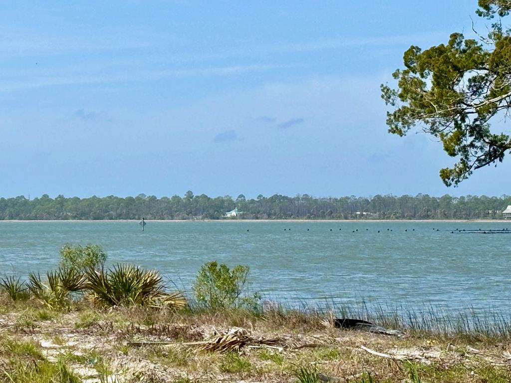 296 Sea Lavender Ln, Port St. Joe 32456