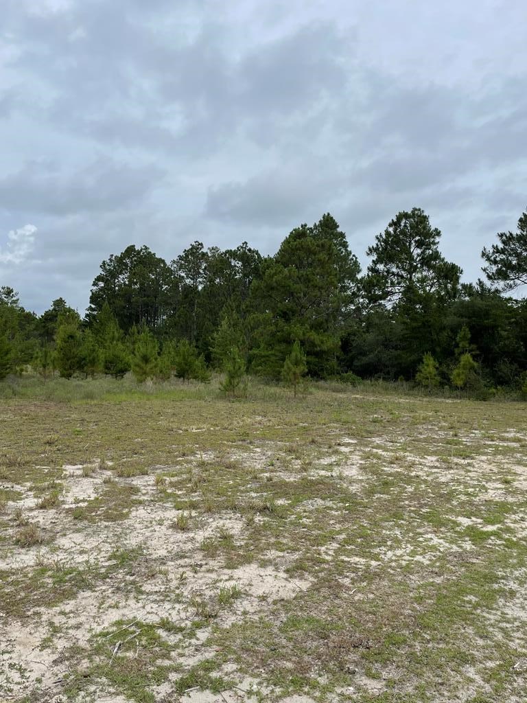 2079 Lighthouse Rd, 32322