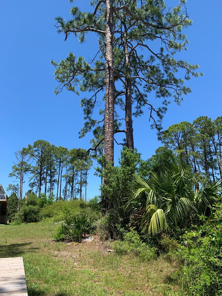 519 Shelly's Loop Rd, 32322