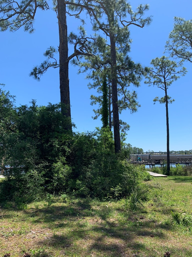 519 Shelly's Loop Rd, 32322
