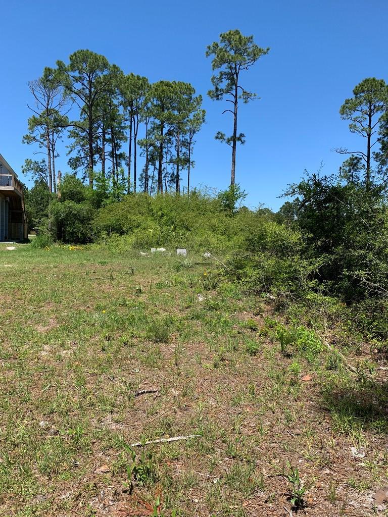 519 Shelly's Loop Rd, 32322