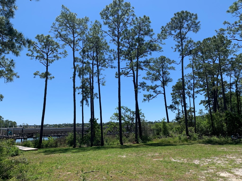 519 Shelly's Loop Rd, 32322