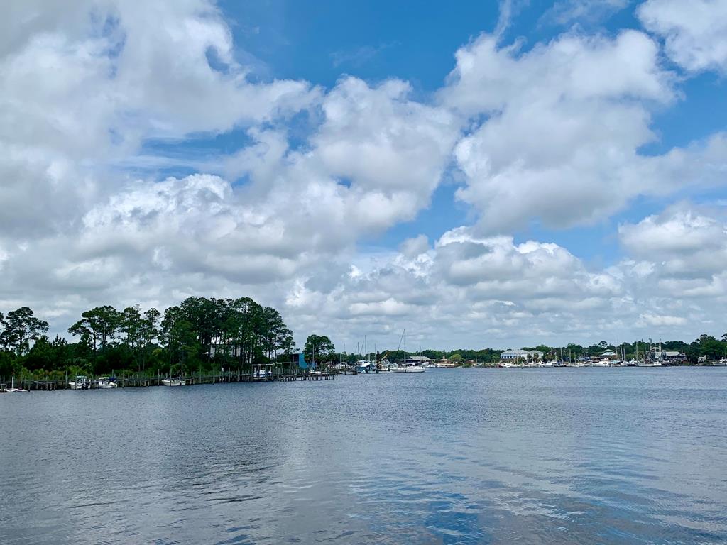 519 Shelly's Loop Rd, 32322