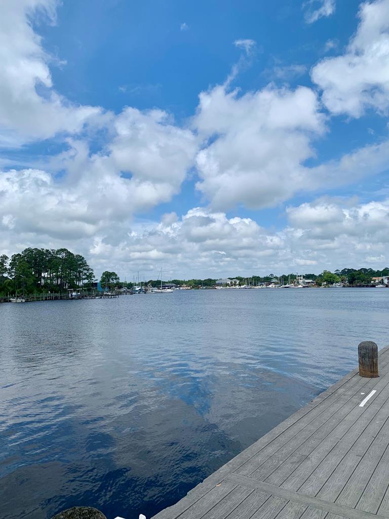 519 Shelly's Loop Rd, 32322