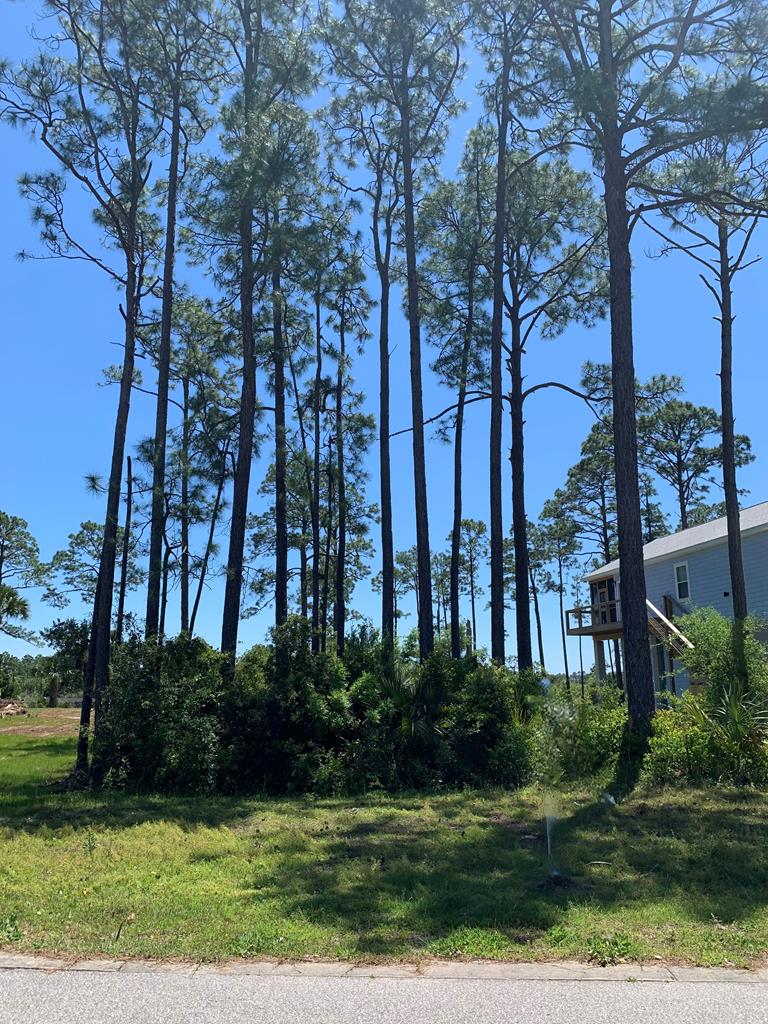 519 Shelly's Loop Rd, 32322