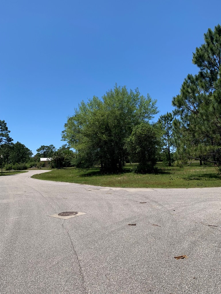 519 Shelly's Loop Rd, 32322