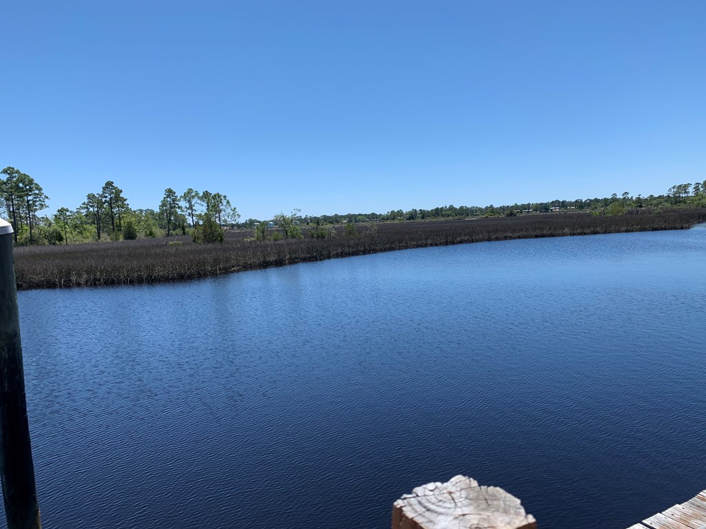 519 Shelly's Loop Rd, 32322