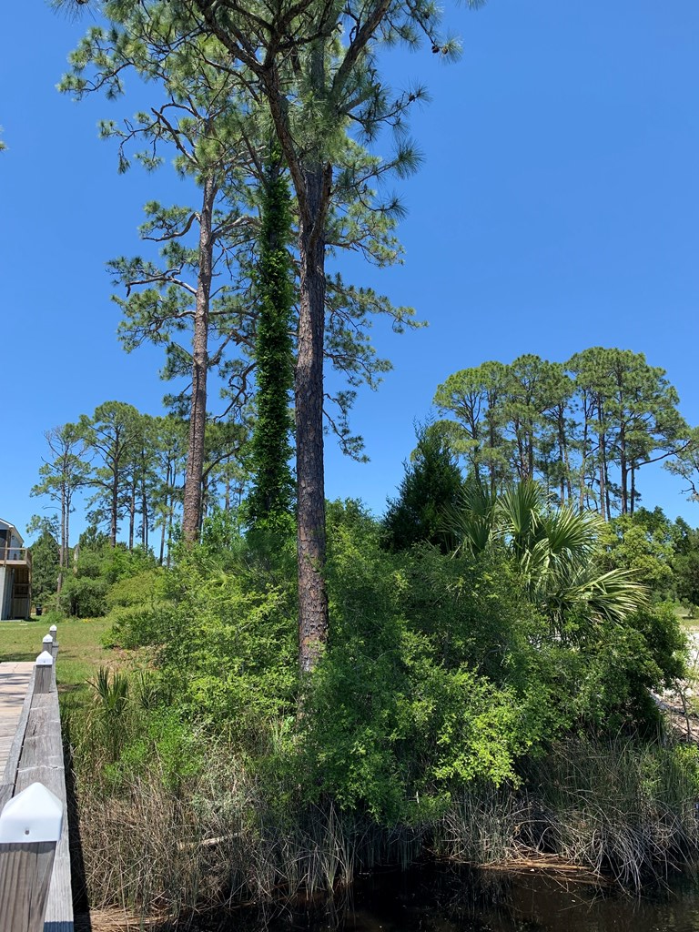 519 Shelly's Loop Rd, 32322