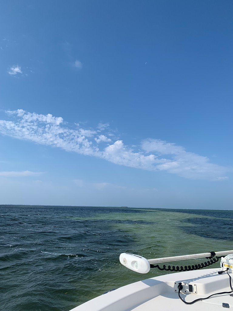 148 Hardy St, Port St. Joe 32456