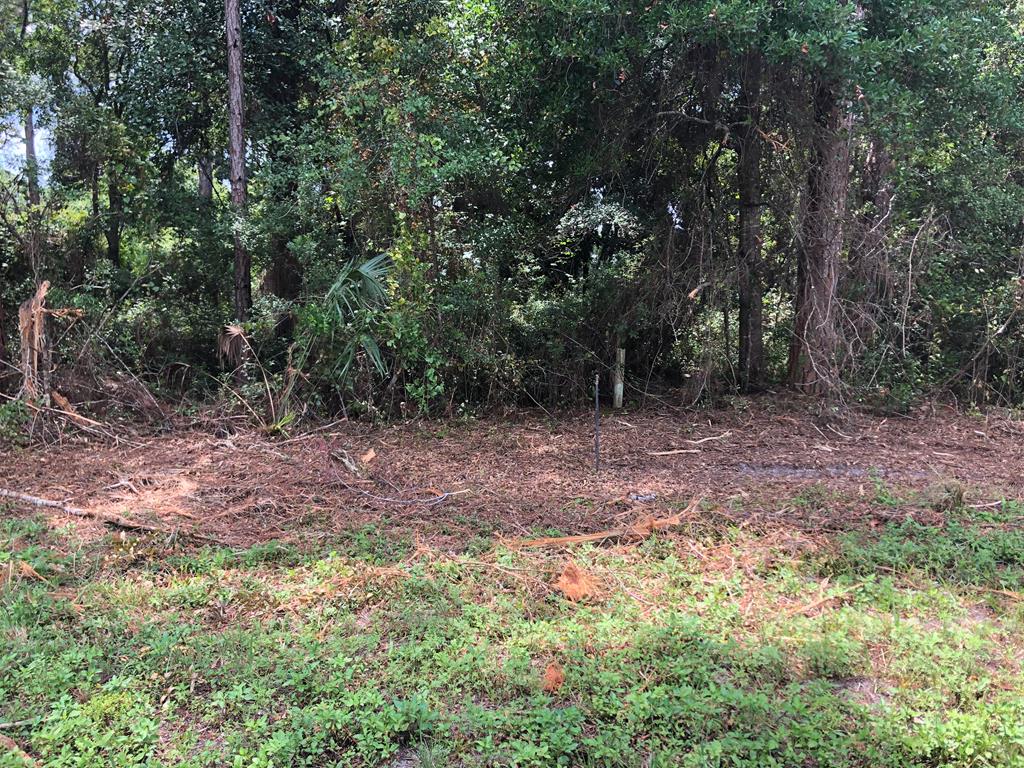 130 Blue Water Beach Cir, 32322