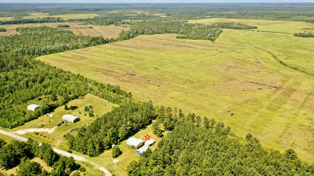 6529 Farm Rd, 32465